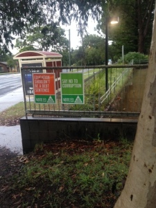 Disillusioned Mid North coast non-voter considers voting Green