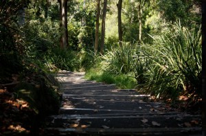 Community summit calls for Parliamentary Inquiry into NSW Crown land